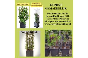 KLIMHULP voor rozen roos tuinrozen klimrozen clematis hedera