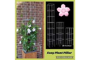 KLIMHULP voor rozen roos tuinrozen klimrozen clematis hedera