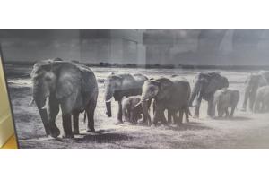 Yellowkorner Baheux Laurent