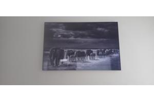 Yellowkorner Baheux Laurent