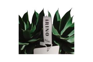 Sweat jurk motorcycle strass steentjes grijs XL/XXL