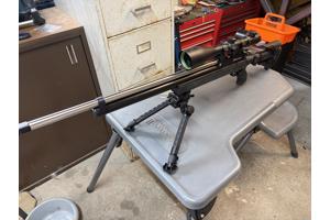 Beaumont grizzly 308