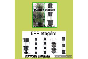 Klimplantrekken tegen overkappingen, muren en schuttingen