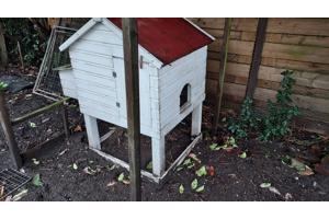 Wie wil er een kippenhok