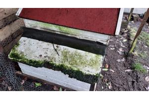 Wie wil er een kippenhok