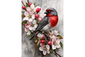 nr 24 Diamond Painting vogel 50x40cm (vierkant)