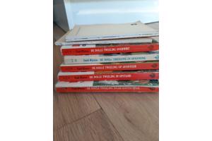 De dolle tweeling van Enid Blyton