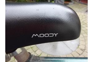 Fiets Gouden Leeuw herenfiets