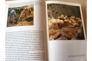 Griekeland boek;Prachtig land met hun historisch oude pronks