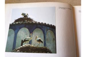 Griekeland boek;Prachtig land met hun historisch oude pronks