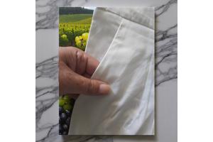 Broek wit met hoge taille XL