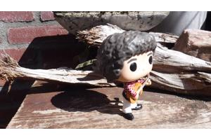 Funko pop Greg Brady V