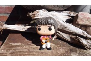 Funko pop Greg Brady V