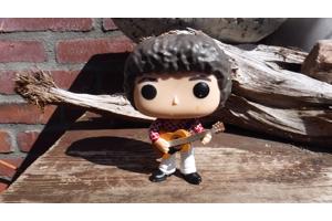 Funko pop Greg Brady V