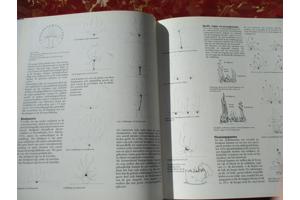 Aad van Uffelen  -  Bloemsierkunst