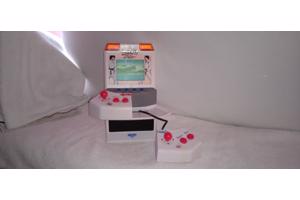 Vintage Arcades World Karate Fighter