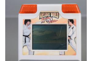 Vintage Arcades World Karate Fighter