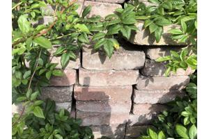 Klinkers 20x15 Gratis Afhalen