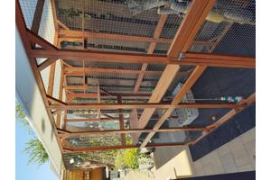 Katten buitenverblijf of voor andere doeleinden