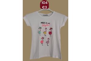 Glo-Story t-shirt flamingo's wit 104