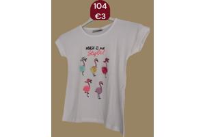 Glo-Story t-shirt flamingo's wit 104