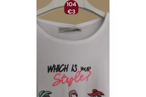 Glo-Story t-shirt flamingo's wit 104