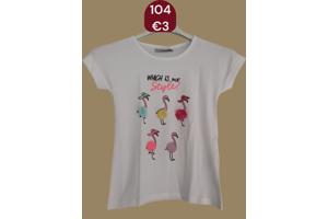 Glo-Story t-shirt flamingo's wit 104