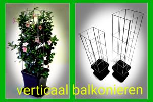 PLANTREKKEN voor clematis druiven tomaten