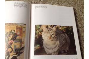 Een Boek van katten,lieve schattige huisdieren,slimme dieren