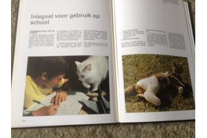 Een Boek van katten,lieve schattige huisdieren,slimme dieren