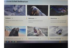 4 e-tickets dolfinarium Harderwijk (Amsterdam)