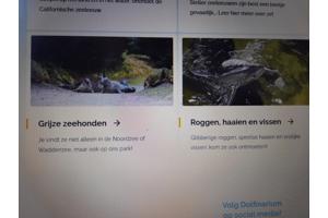 4 e-tickets dolfinarium Harderwijk (Amsterdam)