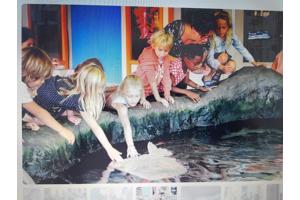 4 e-tickets dolfinarium Harderwijk (Amsterdam)