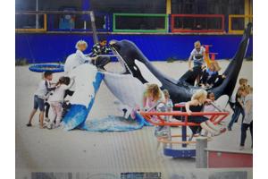 4 e-tickets dolfinarium Harderwijk (Amsterdam)