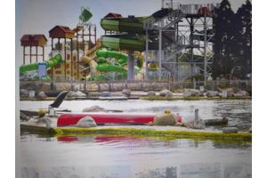 4 e-tickets dolfinarium Harderwijk (Amsterdam)