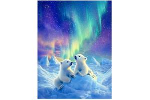 nr 18 Diamond Painting ijsberen 50x40cm (vierkant)