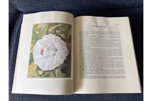 Sprookjes en vertellingen Hans Christian Andersen