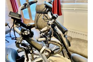 Partij Flyer Elektrische Fietsen T-Serie + Van Raam Balance