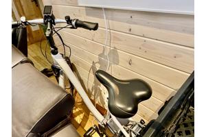 Partij Flyer Elektrische Fietsen T-Serie + Van Raam Balance