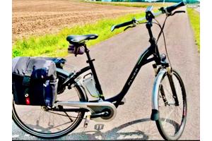 Partij Flyer Elektrische Fietsen T-Serie + Van Raam Balance