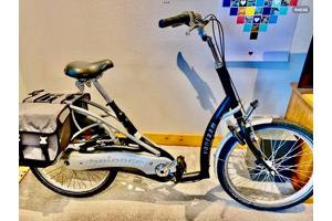 Partij Flyer Elektrische Fietsen T-Serie + Van Raam Balance