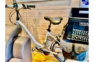 Partij Flyer Elektrische Fietsen T-Serie + Van Raam Balance