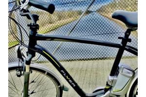 Partij Flyer Elektrische Fietsen T-Serie + Van Raam Balance