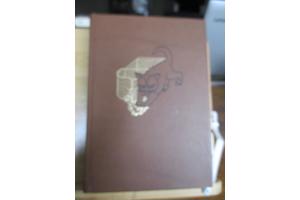 G. Walschap  -  Een Mens van Goeden Wil