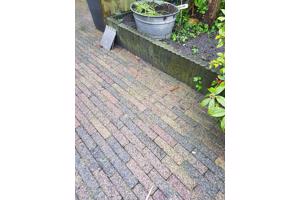 Bont gekleurde waaltjes en betonnen borders