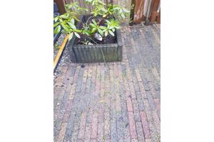 Bont gekleurde waaltjes en betonnen borders