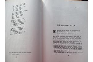 Kerstboek voor het hele Gezin