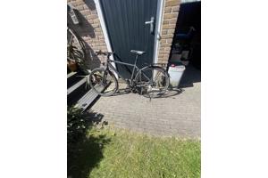 focus fiets met carbon belt