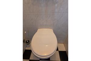 Toilet wit glanzend