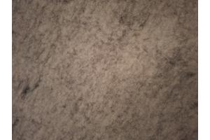 6 stukken grijs vilt, 240 cm lang, 60 cm breed